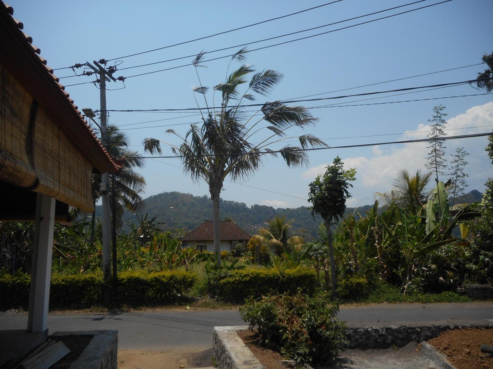 Lila Stana - Sidemen Homestay Sidemen (Bali) Exterior foto