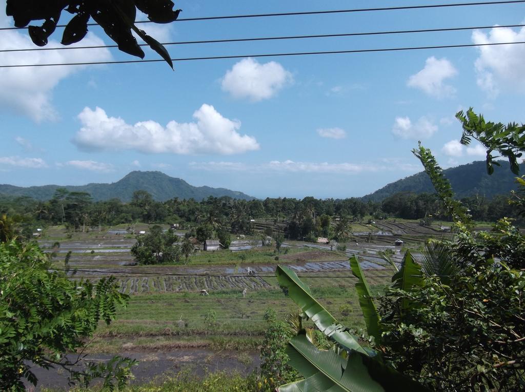 Lila Stana - Sidemen Homestay Sidemen (Bali) Exterior foto