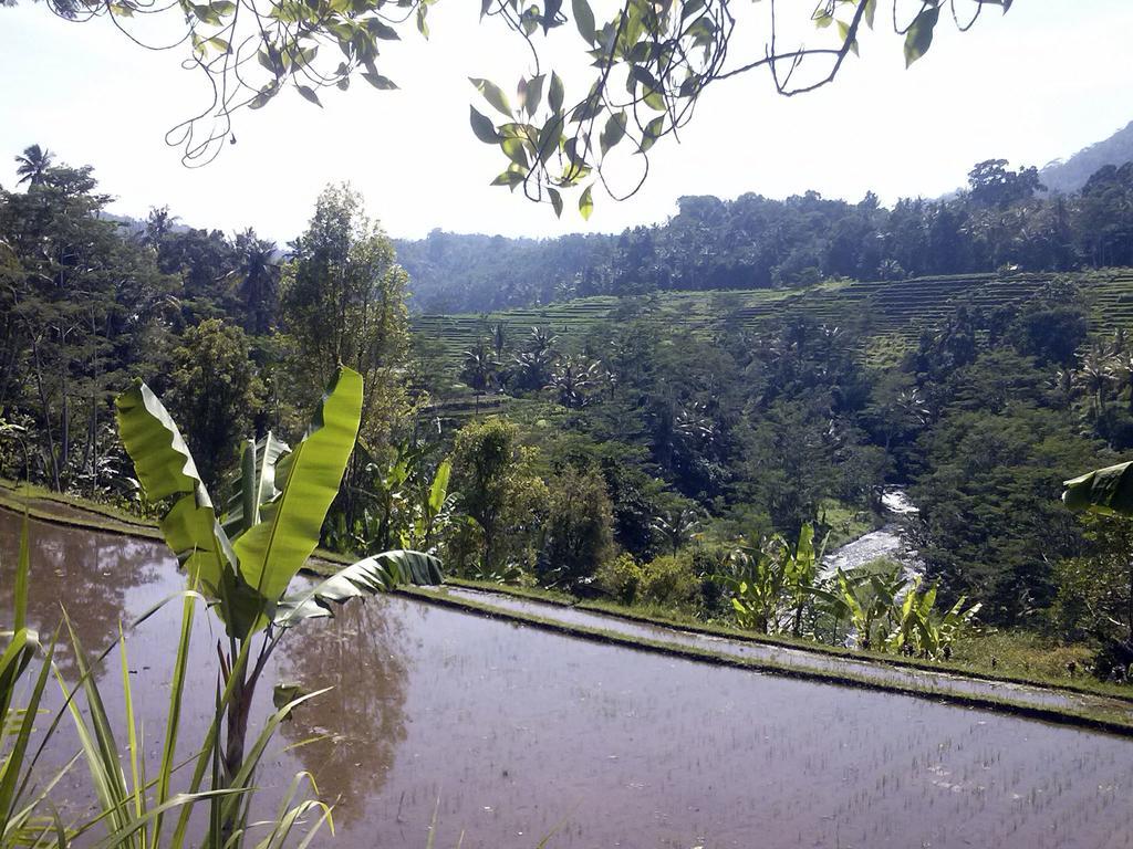 Lila Stana - Sidemen Homestay Sidemen (Bali) Exterior foto